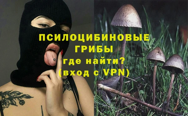 эйфоретик Зеленокумск