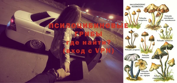 меф Ельня
