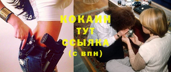 меф Ельня