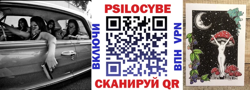 Псилоцибиновые грибы прущие грибы  Купить где  Мамадыш 